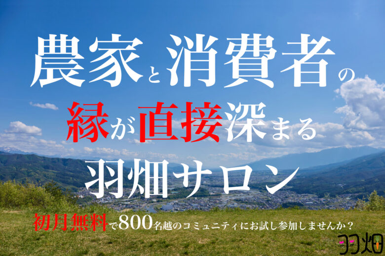 羽畑サロンヘッダー